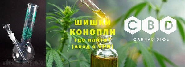 PSILOCYBIN Алзамай