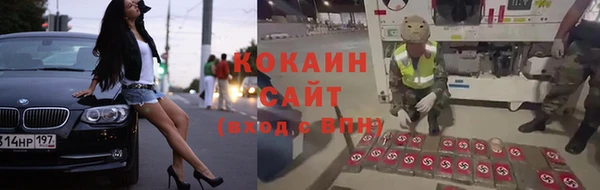 не бодяженный Алексин