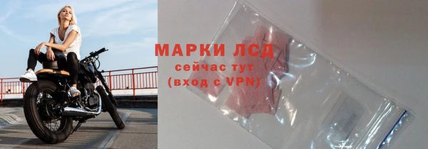 PSILOCYBIN Алзамай