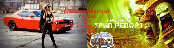 не бодяженный Алексин