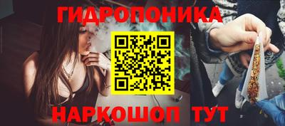 прущие крисы Ставрополь