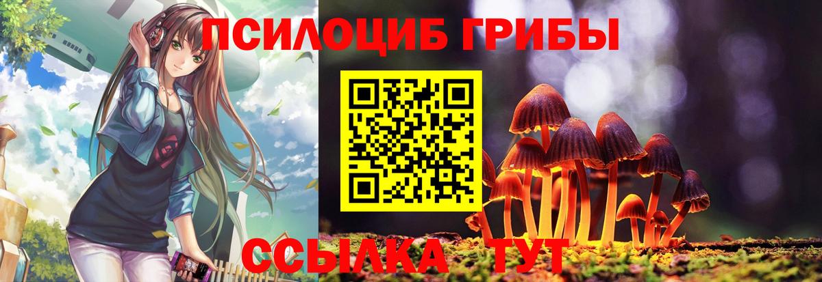 Галлюциногенные грибы ЛСД  Галлюциногенные грибы GOLDEN TEACHER  Самара  Вход с VPN 